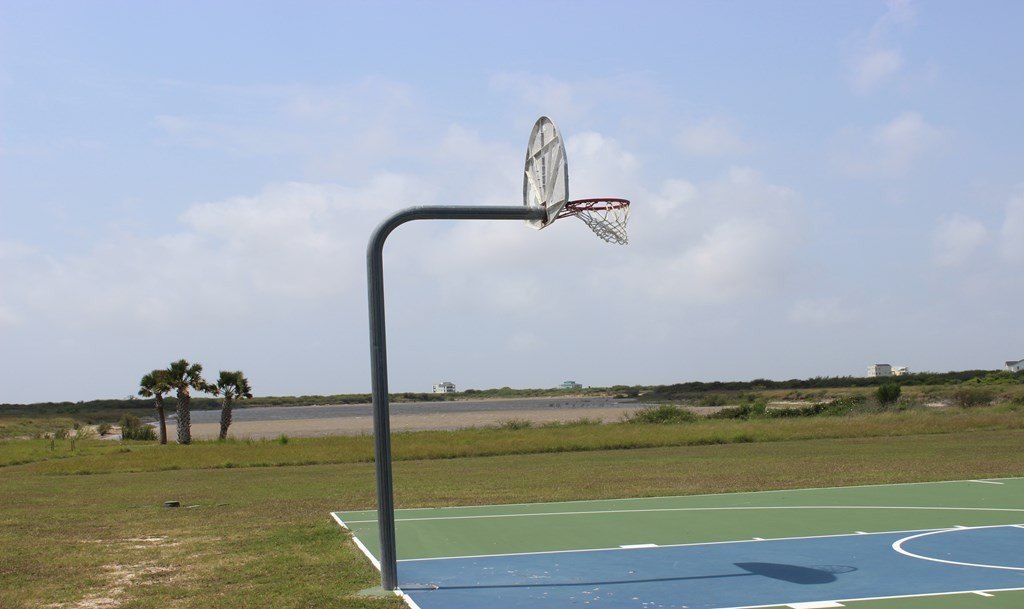 Picture 5