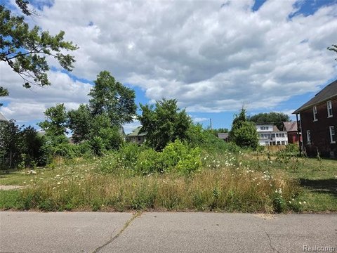 Vacant Land, Detroit, MI