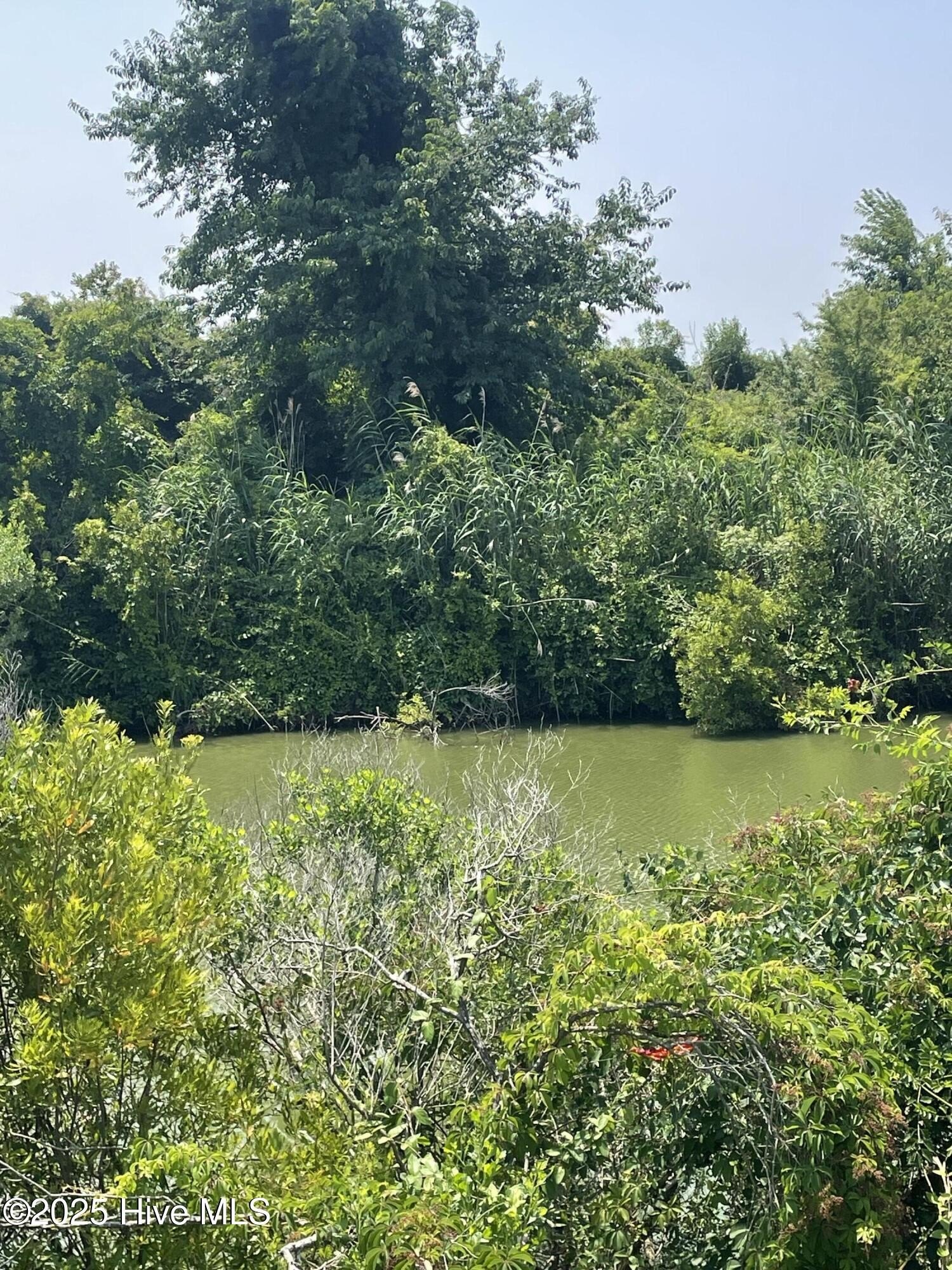 Waterfront Land in Hertford, NC