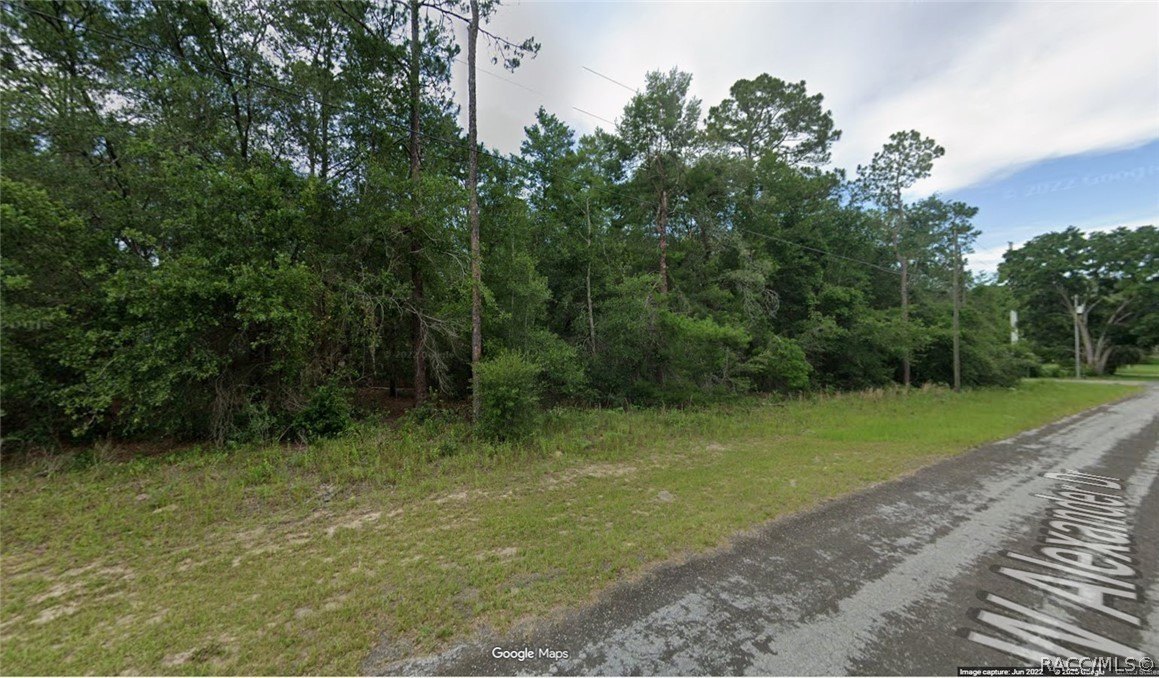 Citrus Springs Quarter Acre Parcel