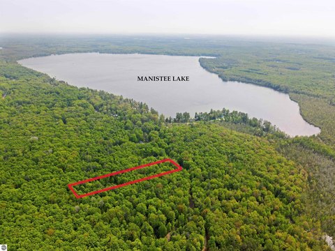 Forested Recreational Land Parcel