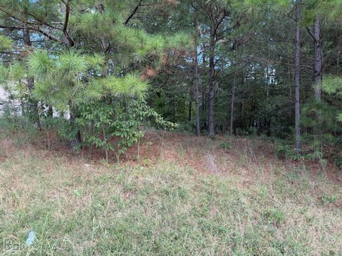 Vacant Land, Paragould, AR