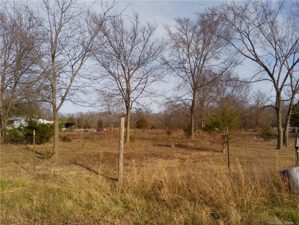 Picture 8