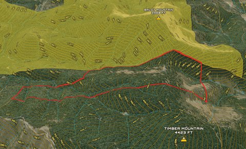 Mountain Timberland Tract