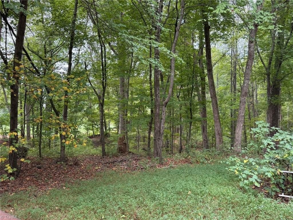 Picture 30