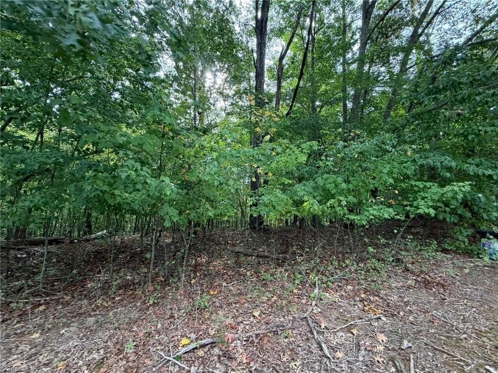 Picture 29