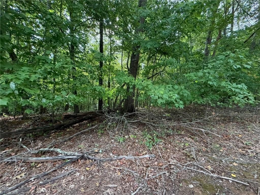 Picture 24