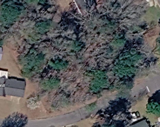 Picture 4