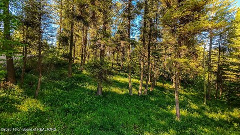 Tree-Covered Cul-de-Sac Lot
