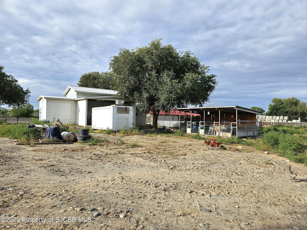 Picture 16