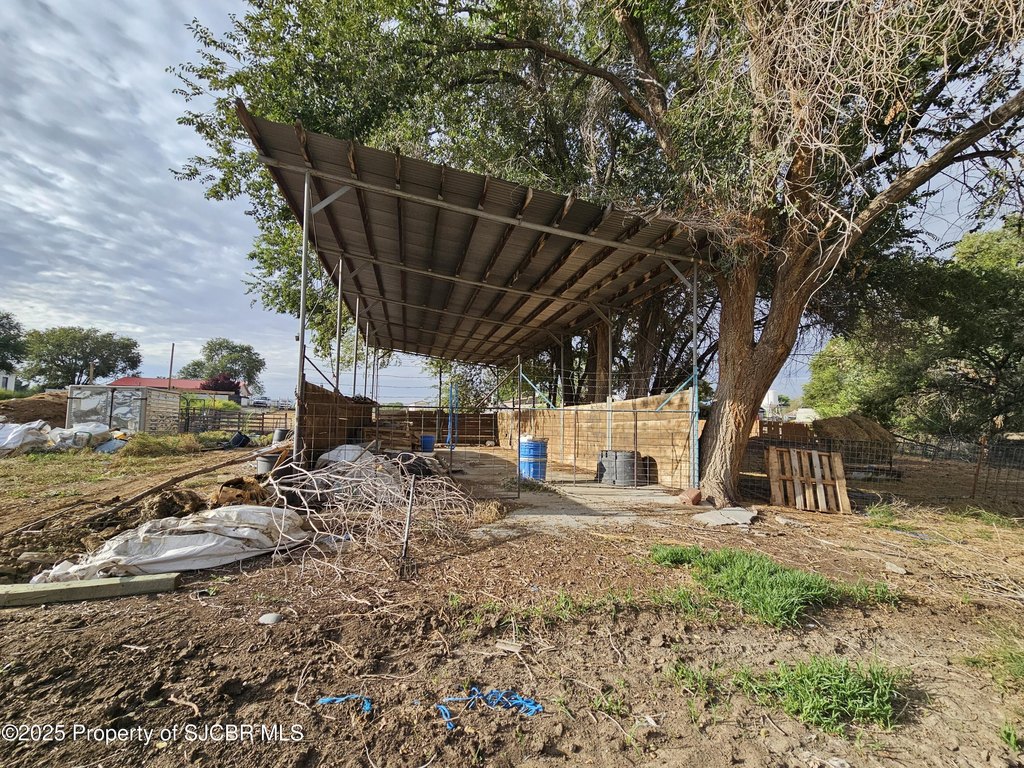 Picture 15