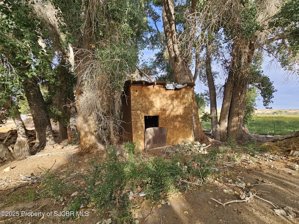 Picture 45