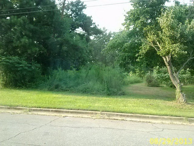 Picture 4
