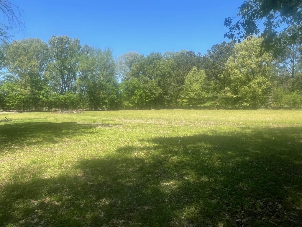 Picture 4