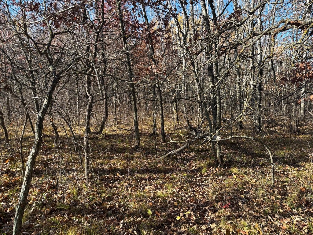 Picture 19