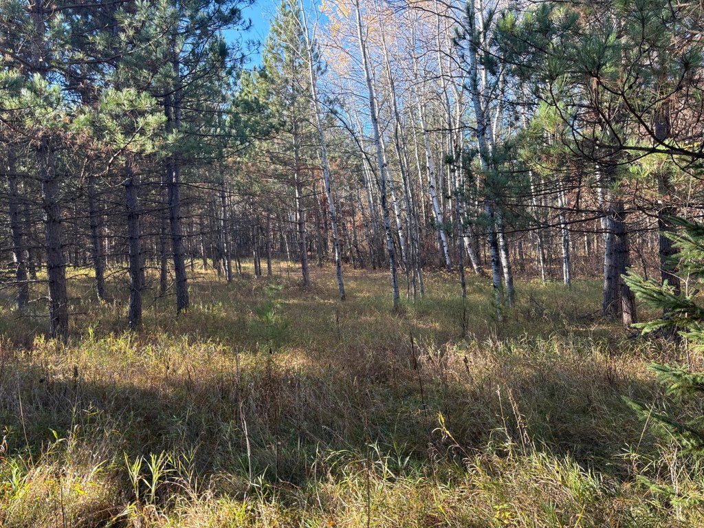 Picture 15