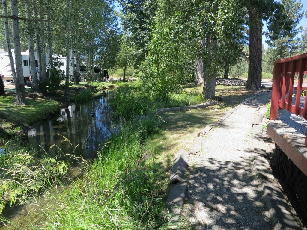Picture 8