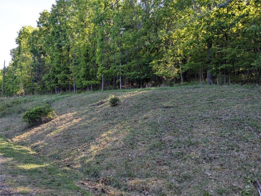 Picture 3