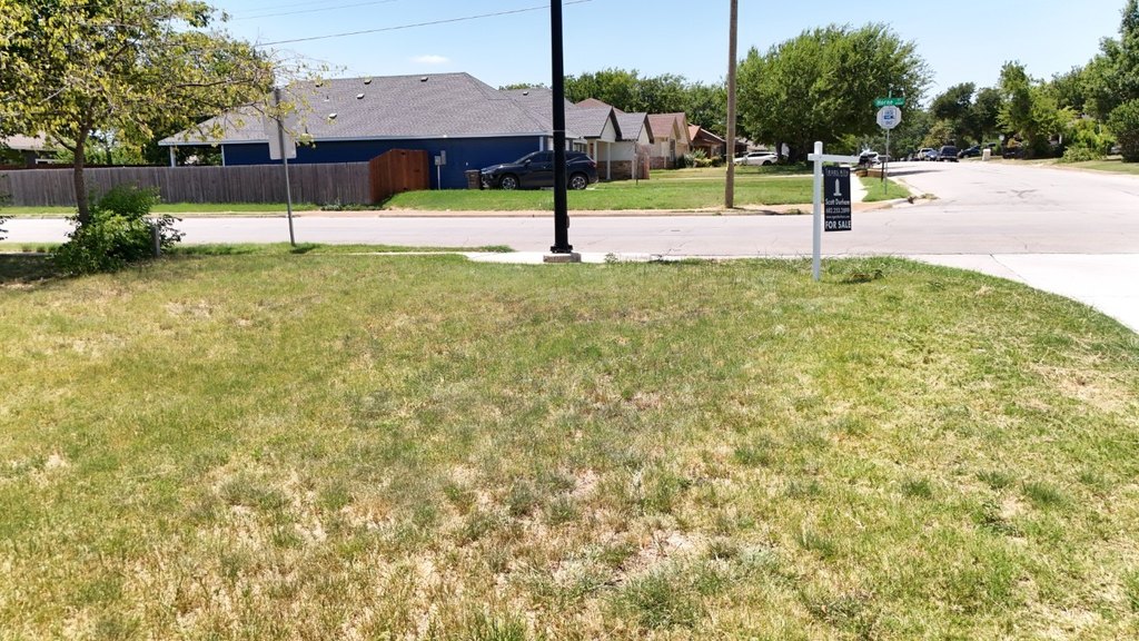 Picture 12