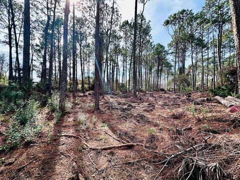 Eastpoint, FL Residential Land