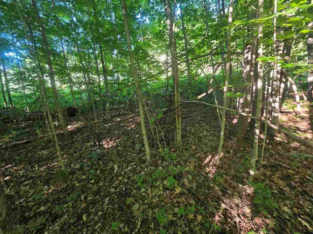 Picture 18