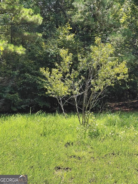 Picture 17