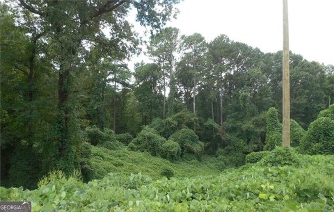 Land, Greensboro, GA