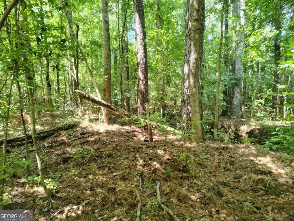 Picture 10