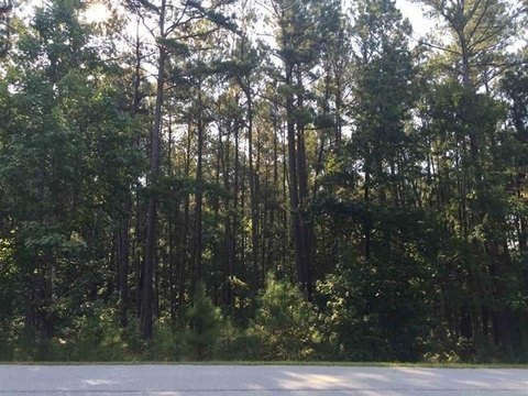 LAND - Greensboro, GA