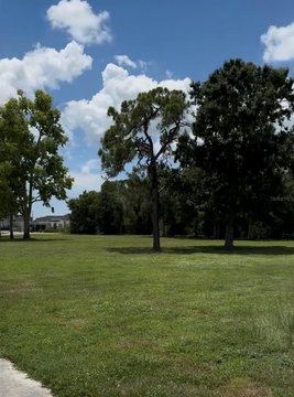 Commercial Land Near Hospital