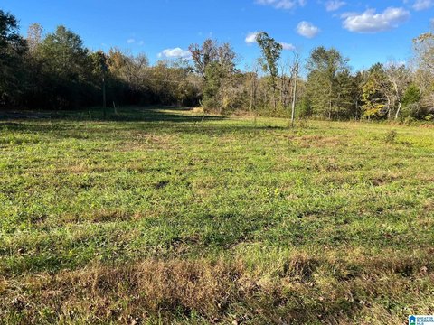 Acreage Home Site with Creek Access