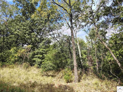 LAND, No Home, Edwards, MO