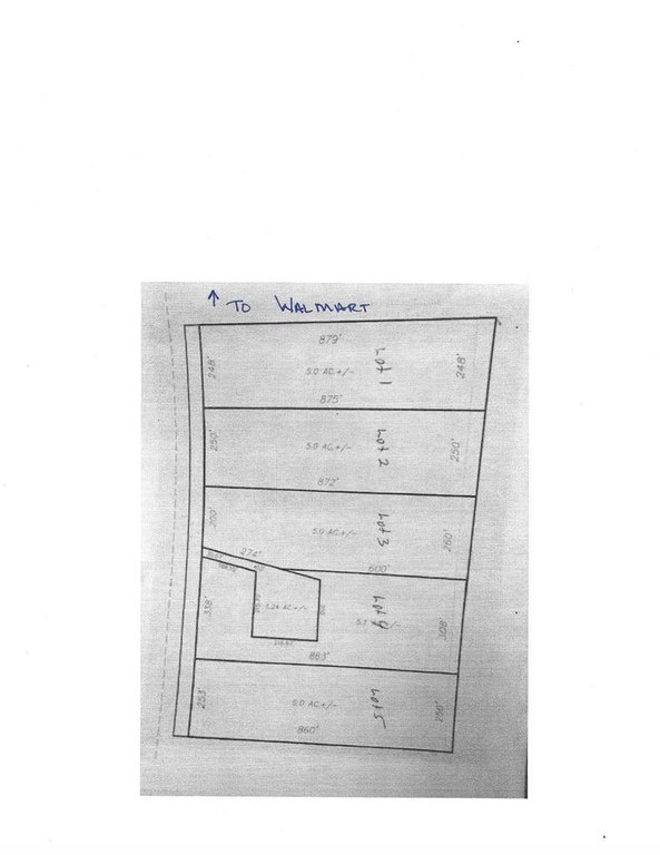 Picture 3