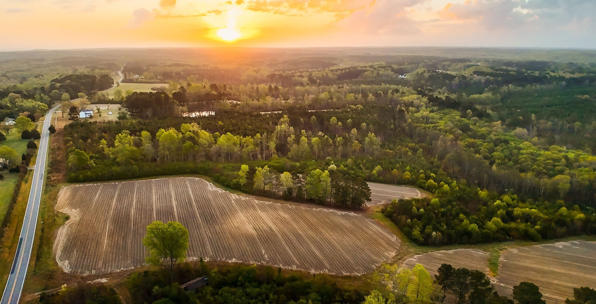544 Acres Creedmoor Vacant Land