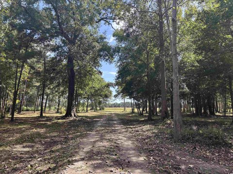 Waterfront Land in North Myrtle Beach