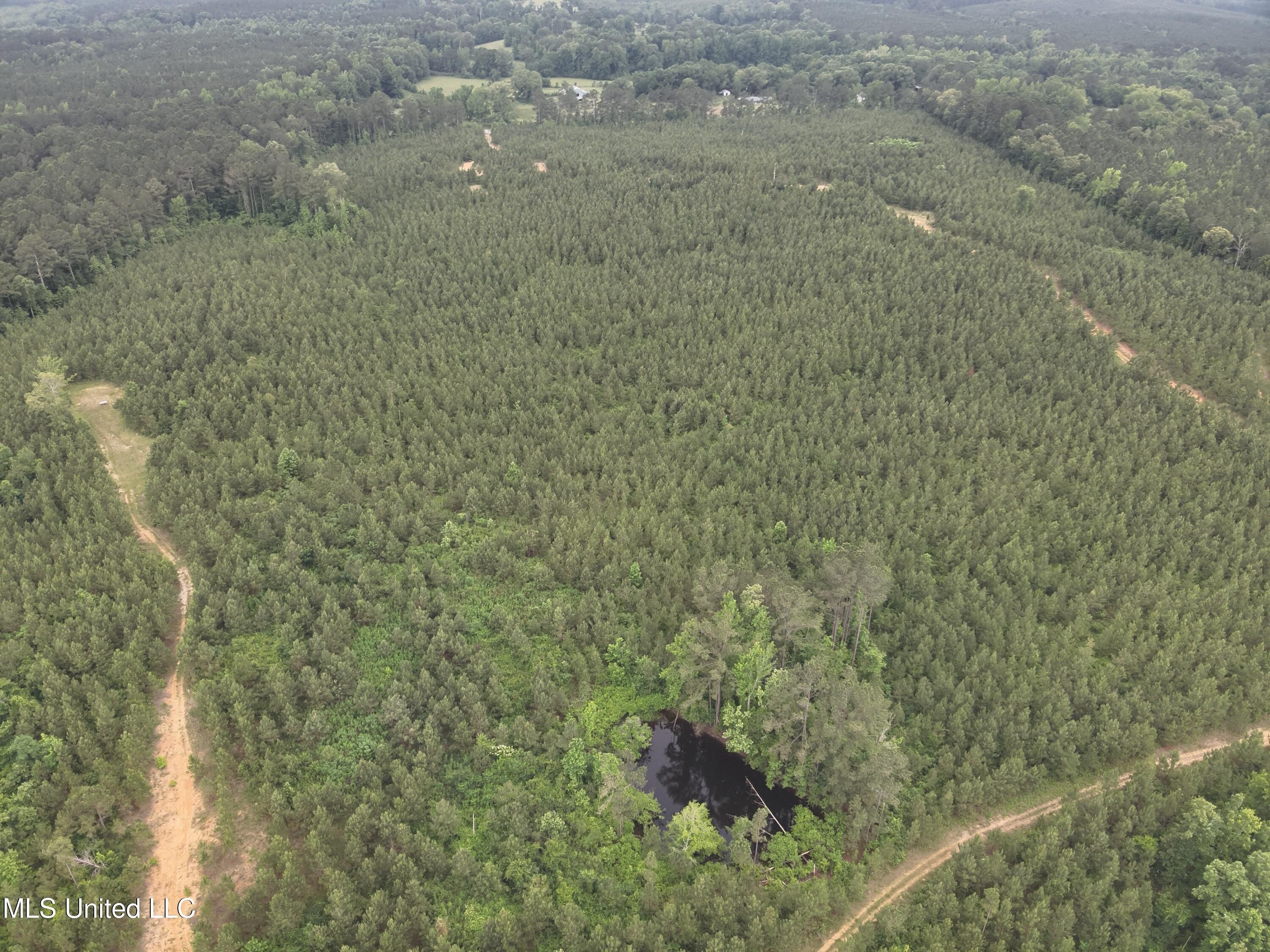 Land in Leake County, MS