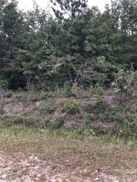 Land, Kershaw, SC