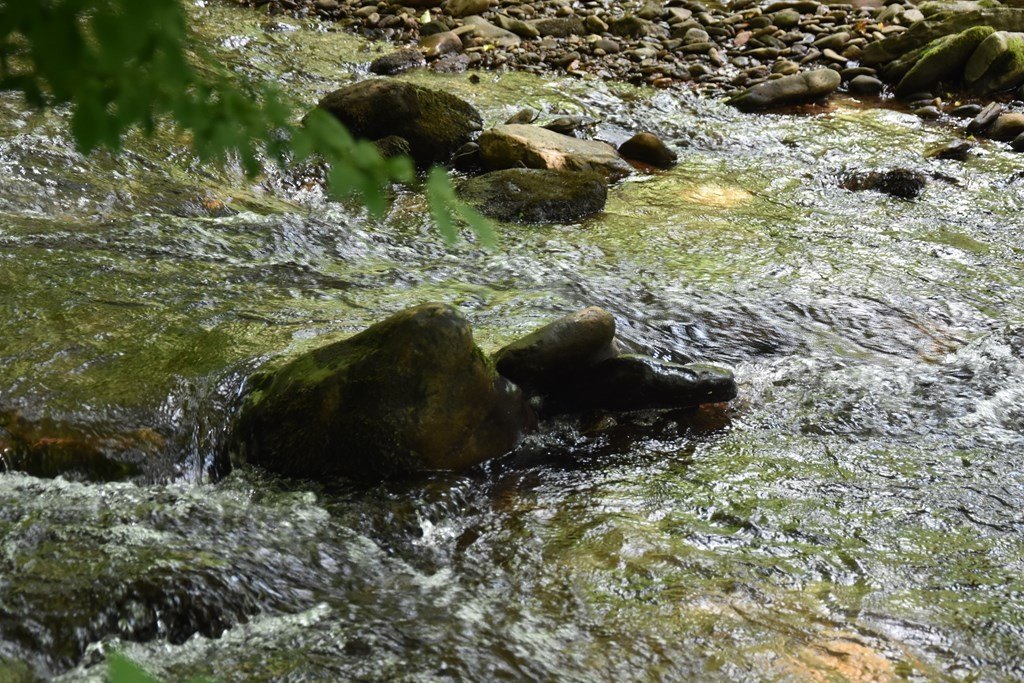 Picture 19