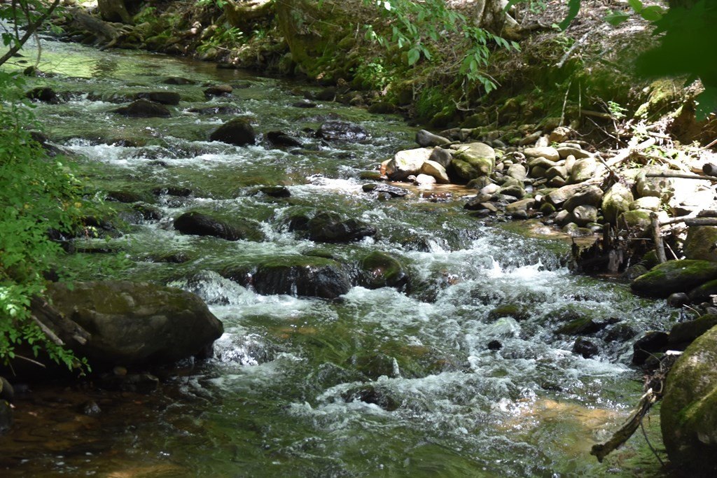 Picture 23
