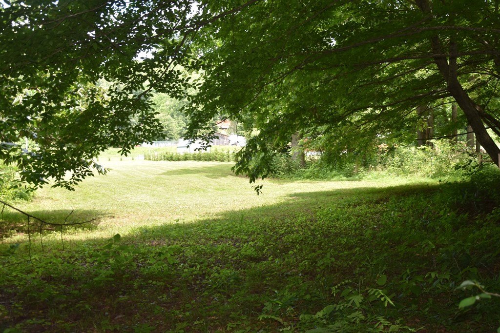 Picture 13
