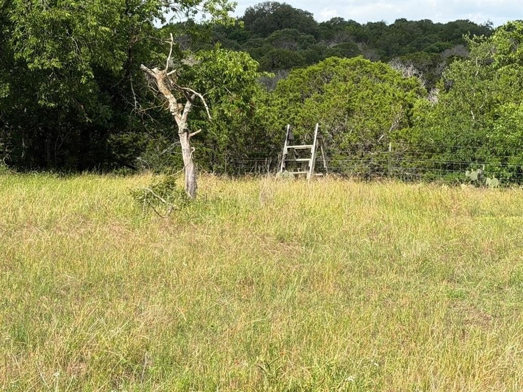Picture 18