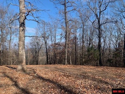 Wooded Acreage with Ozark Views