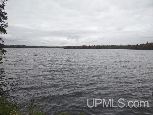 Picture 17
