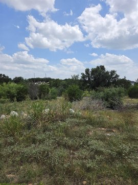 LAND - Marble Falls, TX