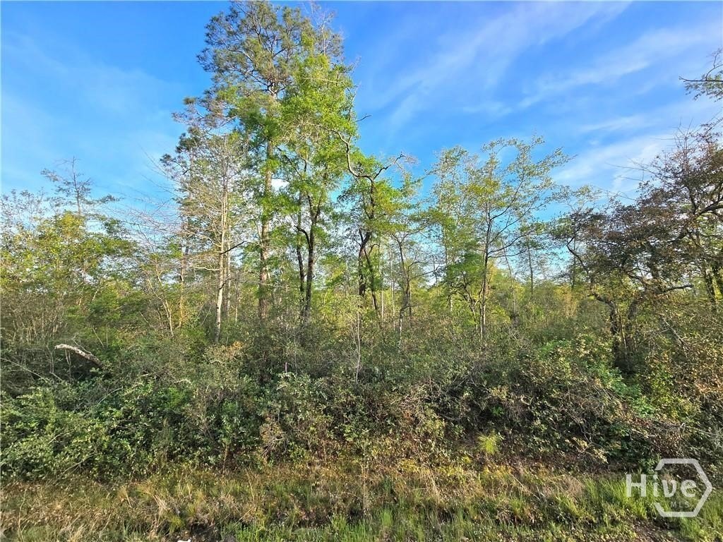 5.85 Acres on Hwy 204
