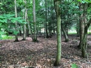 Wooded Lot For Residential Development