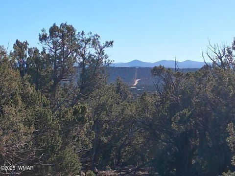 Land with Views in Concho