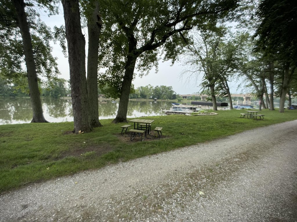 Picture 19