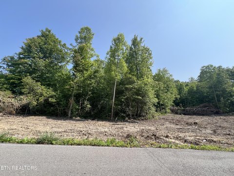 Pioneer, TN Land Opportunity