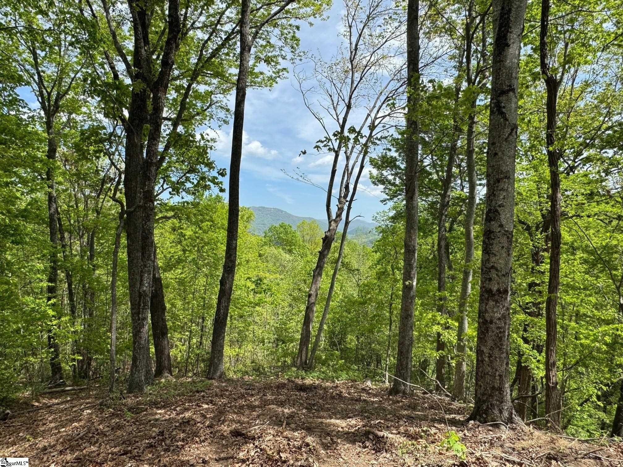 Marietta Homesite with Mountain Views